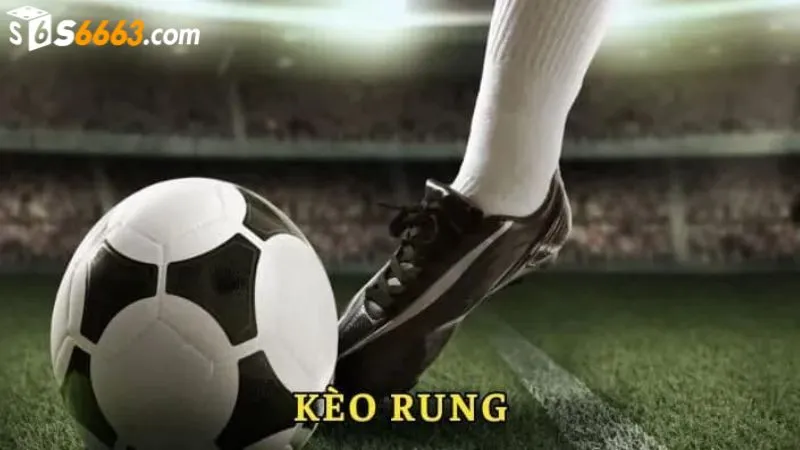 Kèo rung là lựa chọn cá cược thú vị tại S666